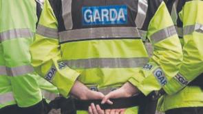 Gardaí in Midlands investigate altercation between 'two families' at country music gig