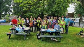 Tidy Towns group in Offaly gears up for July clean-up of town