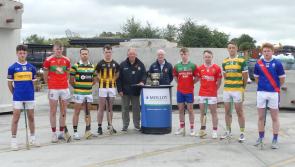 Shamrocks and Drumcullen hungry to step up in wide open Intermediate Hurling Championship