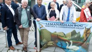 Offaly Councillors demand overhaul of outdated wind energy guidelines