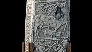 Historical Offaly artifact now on display in National Museum