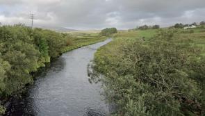 Offaly fisheries conservation project awarded a grant of &euro;20,000