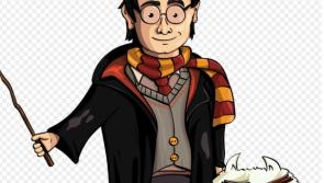 Calling all wizards in Offaly! Harry Potter's birthday to be marked at big local event