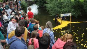 ‘Quack’ will be mighty as rugby club hosts Super Saturday family fun day