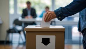 Questions raised over how polling staff are recruited in Offaly