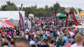 Farm Safety Live returns for its 10th year at Tullamore Show
