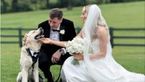 Hurling elite suited and booted as All-Star weds long-time love Elaine in lavish ceremony