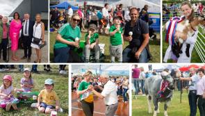 BIG PICTURE SPECIAL: Huge crowds turn out for another magnificent Tullamore Show
