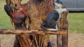 Roscrea woodcarver places first in prestigious Canadian festival