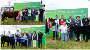 PICTURES: FBD National Livestock champions crowned at Tullamore Show