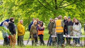 Nature and biodiversity take centre stage in Offaly for Heritage Week 