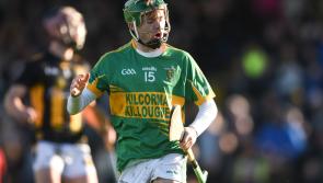 Five Offaly hurlers to feature as part of star-studded squad for charity match