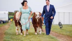 Up to 250,000 expected in Offaly for National Ploughing next month