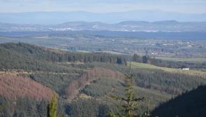 Dismay as company granted permission for large quarry in Slieve Blooms