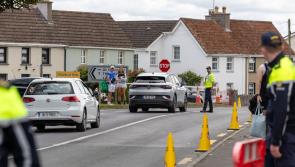 30km stretch of major national road to close on Monday due to Electric Picnic