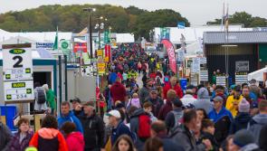 'Thirsty farmers' at National Ploughing site in Offaly says judge