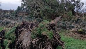Human bones dramatically revealed in Offaly heritage site during winter storm