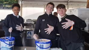 IN PICTURES: Wind, rain and sun as workers put final touches to Ploughing site in Tullamore