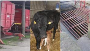 Machinery, working at height and construction on farms in the spotlight as HSA returns to Ploughing 