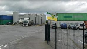 Leading Offaly company awarded prestigious Best Managed Companies accolade