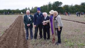 South Offaly ploughman wins gold at National Ploughing Championships