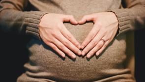 Authority to protect the rights of those involved in surrogacy established today