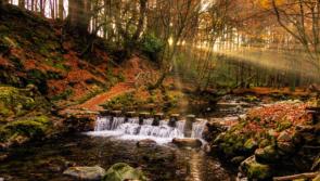 OPINION (AN COL&Uacute;N): Autumn reminds us of our own decline and rebirth