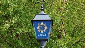 Gardai called to stand-off at farm as milk lorry prevented from leaving