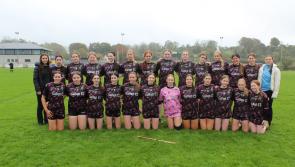 Offaly school wins camogie blitz