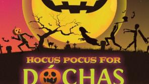Spook-tacular 5km run/ walk to aid Dochas &ndash; Offaly Cancer Support Group
