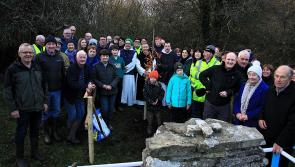 PICTURES: Citeaux Hall tree planting on All Saints Day
