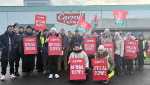 Talks due this week at Offaly meat plant after further one-day strike averted