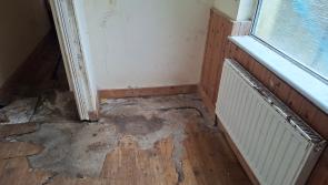 Family of five from Tullamore living in rat infested, mould ridden rented house