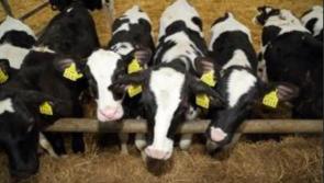 Over &euro;50m allocated to farmers in Offaly throughout 2025