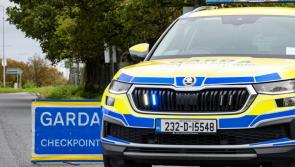 Teen arrested in Midlands after 'lengthy' garda pursuit after suspected burglary