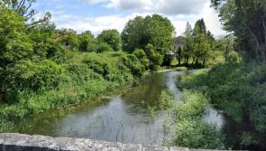 Call for views of public as new project seeks insights into major Offaly river