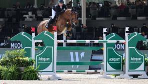 Offaly showjumper returns with a big win in five-star event 