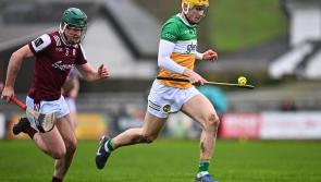 Offaly hurlers face another testing day as Limerick come to Tullamore