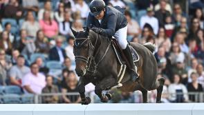 Showjumper 'surprised' to hear he was banned when speeding near Offaly border