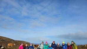 Explore the stunning Brittas Lake in the Slieve Bloom Mountains with Roscrea's hiking club