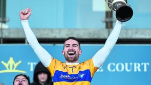 THE MAN BEHIND THE WIRE: The 2021 Offaly Senior Hurling Championship team of the year