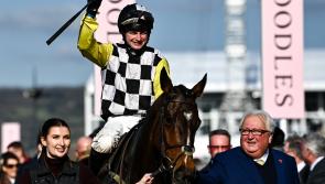 Offaly Live owner enjoys Grade 1 winner at Cheltenham