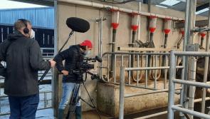 Popular RTE show profiles innovative Offaly dairy business tonight