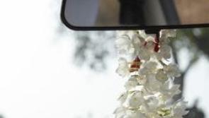 Gardaí warn Offaly motorists to stop engaging in 'new trend' or penalties may be issued