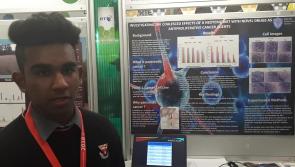 Offaly students pick up awards at the BT Young Scientist Exhibition 