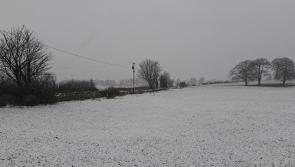 WATCH: Snow continuing to fall across Offaly as more snow forecast for today