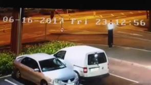 VIDEO: Horror as horse dies in sulky crash