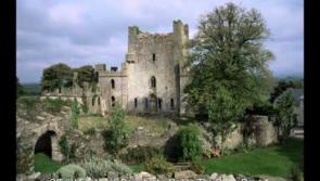 WATCH: The county needs to get behind 'The Offaly Rover' as Ireland Favourite's Folk Song