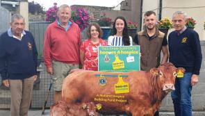Offaly business's raffle raises over €6,000 for Hooves for Hospice