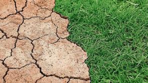 Seeking stories and memories of droughts in Ireland